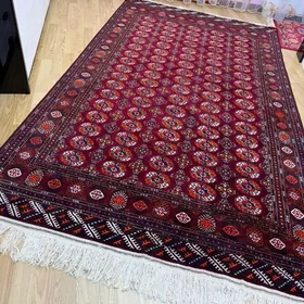 SROCHNO SATLYK EL HALYLAR