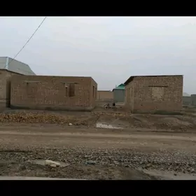 SATLYK  ĴAÝ  -  Tejen