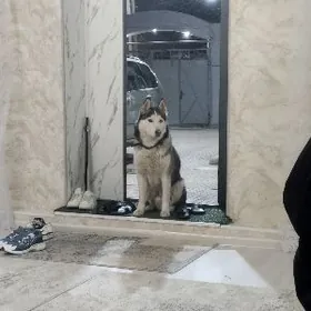 нужна помощница по дому