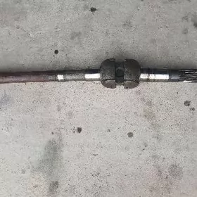 ön̈ki peredoga degişli