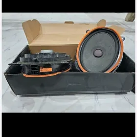 highlander kalonka radnoy