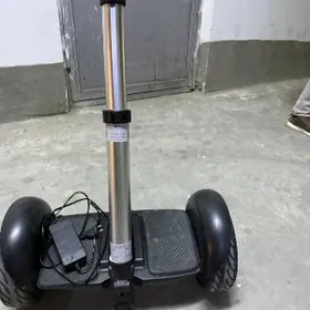 Sigwey tigir 2 si bile