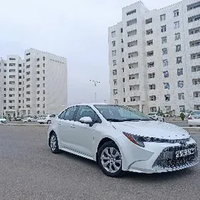 Toyota Corolla 2022
