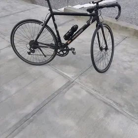 спартивни шасейни