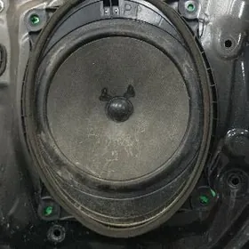 kolonka gapyda otyryan