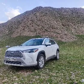 Toyota Corolla Cross 2022