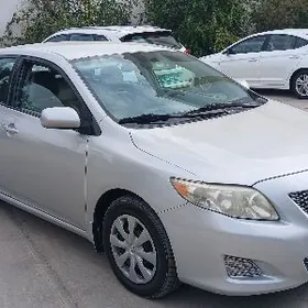 Toyota Corolla 2010