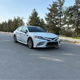 Toyota Camry 2020