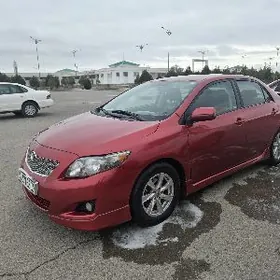 Toyota Corolla 2010