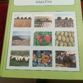 словарь туркмено-русский-англи