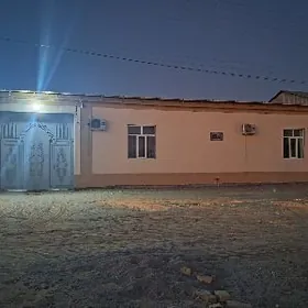 Sobstwenny howly jay