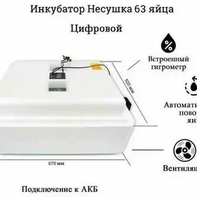 инкубатор несушка
