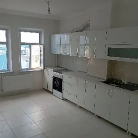 🪯   ELITKA   🪯