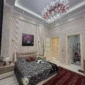 Arenda Çehow️ elitka️