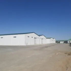 Ammar merkezi arenda sklat