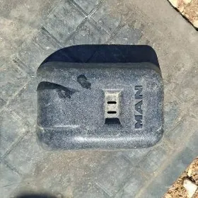 Bak yüzünde oturryan pylasmas