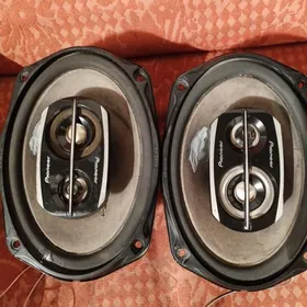 Pioneer nikel kalonka