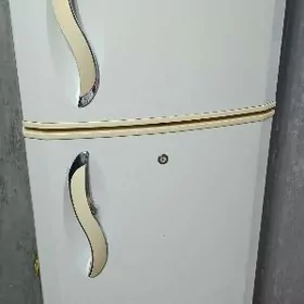 LG express cool holodilnik