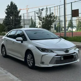 Toyota Corolla 2020