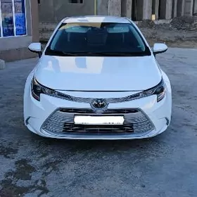 Toyota Corolla 2024