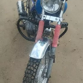 Fekon FK200-14G 2024