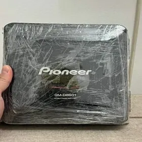 pioneer usulitel dklas