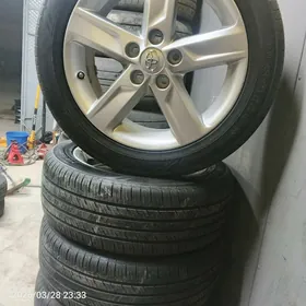 17 Palta Kemri diska