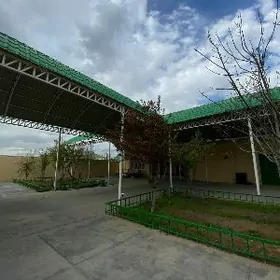 Багир миреве