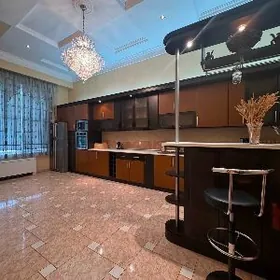 Arenda Şayol elitka️