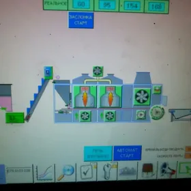 Çigit we gury iýmişleri gowurý