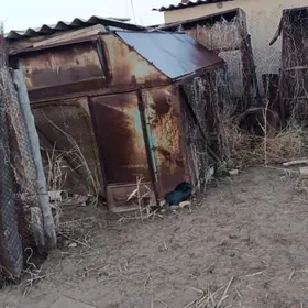 Satlyk bunker pagta masynynky