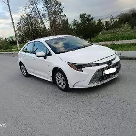 Toyota Corolla 2022
