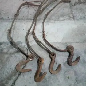 Turos pawuk taýyn kampilekit