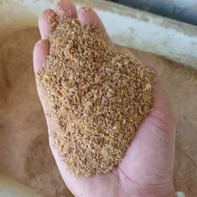 Towuk bedene jüÿje