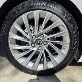 pakeiska continental