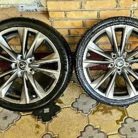 2020 ES EF sport disga