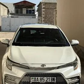 Toyota Corolla 2019