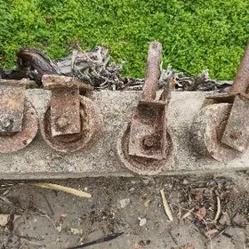 тигр Демин,tigir demir