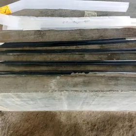 CAROLLA NIKL AÝNAŇ