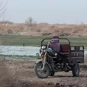 Fekon FK200-14G 2014