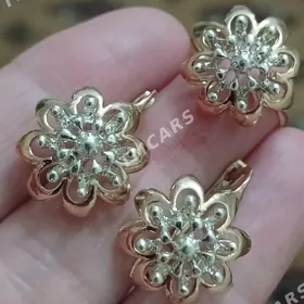 gyzyl kampilekit gysagly