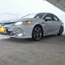 Toyota Camry 2019