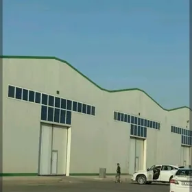 Arenda Sklat Ammarlar toplumy