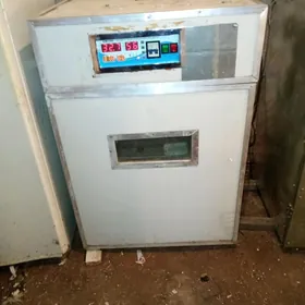 Inkubator.инкубатор