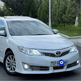 Toyota Camry 2013