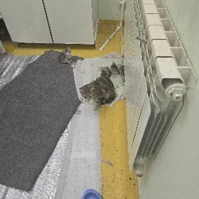 Oy pishigi 3 si oglan 1 i gyz