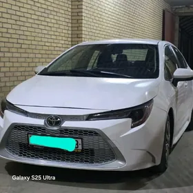 Toyota Corolla 2021