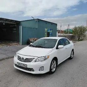Toyota Corolla 2011