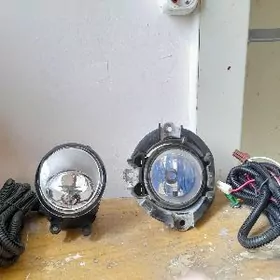 Tumannik Toyota Rav 4