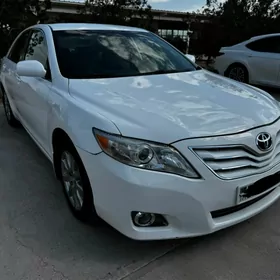 Toyota Camry 2010